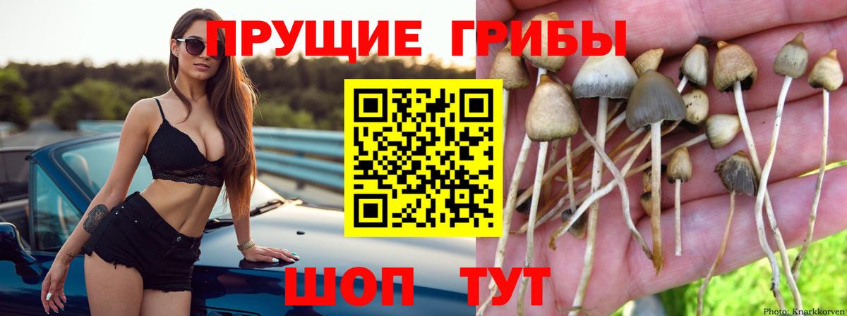 Галлюциногенные грибы GOLDEN TEACHER  Вход с VPN  Чебаркуль  Псилоцибиновые грибы ЛСД 